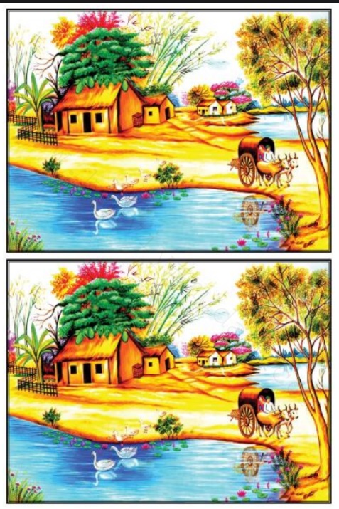 Grade 5 Guide photos